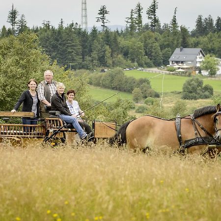 Ginsberger Heide Hotel Hilchenbach Luaran gambar